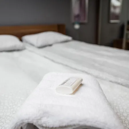 Radziwillowska Old Town Deluxe Wawelofts