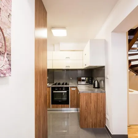 Radziwillowska Old Town Deluxe Wawelofts 크라쿠프