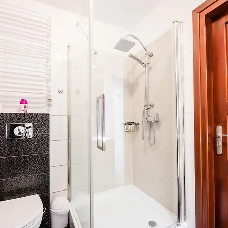 Radziwillowska Old Town Deluxe Wawelofts * 크라쿠프